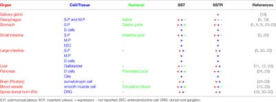 Versatile Functions of Somatostatin and Somatostatin Receptors in the Gastrointestinal System